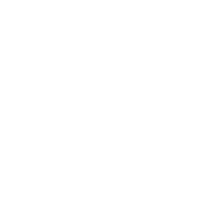 Beganyi Professional Corporation